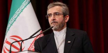 وزير الخارجية الإيراني، علي باقر كني