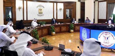 رئيس الوزراء: توطين الصناعات المتعلقة بالطاقة المتجددة بالتعاون مع الإمارات