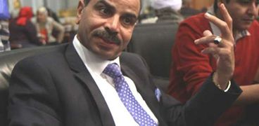 النائب هشام الشعينى رئيس لجنة الزراعة بالبرلمان