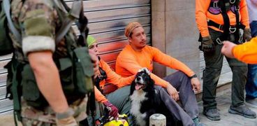 الكلب التشيلي المشارك في إخراج جثث الضحايا