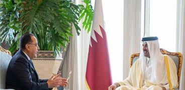 مدبولي وأمير قطر