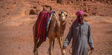 بدو جنوب سيناء - صورة أرشيفية