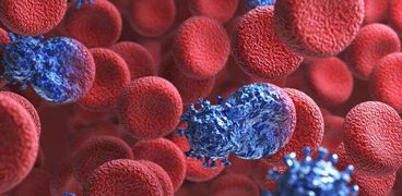 "دم المتبرعين".. طريقة جديدة لتدمير الخلايا السرطانية في روسيا