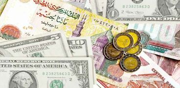 أسعار العملات الأجنبية في البنوك المصرية اليوم