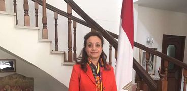 الدكتورة أمانى أبوزيد، مفوِّض البنية التحتية والطاقة بالاتحاد الأفريقى