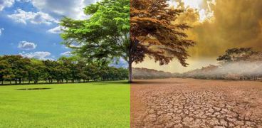 صورة تعبيرير عن أثر الاحتباس الحراري على الزراعة
