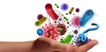 تقوي المناعة.. تعرف على فوائد البكتيريا النافعة وكيفية الحصول عليها