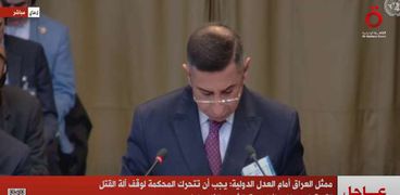 ممثل العراق أمام العدل الدولية