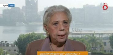 الدكتورة ميرفت السويفي أمين صندوق نقابة التشكيليين
