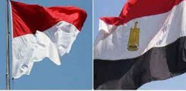مصر تعزي إندونيسيا ــ تعبيرية