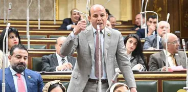 النائب عمرو القماطي عضو مجلس الشيوخ