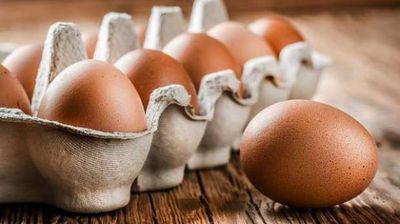 البيض الأحمر في الأسواق
