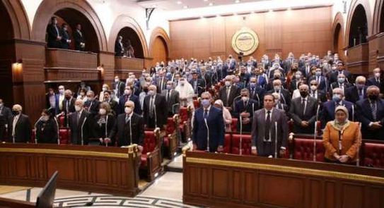 نائبة في «الشيوخ»: مشروع قانون العمل خرج بـ267 مادة في 5 كتب (فيديو) - أخبار مصر - الوطن