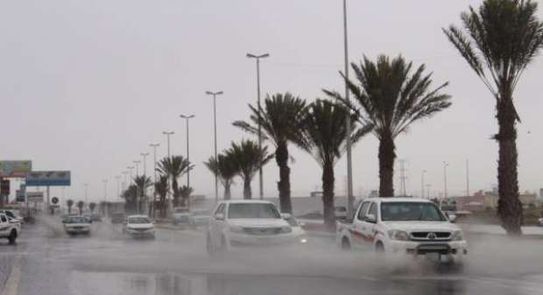 فيديو.. توقعات باستمرار الأمطار الرعدية بالسعودية وتحذير من السيول - العرب والعالم - الوطن