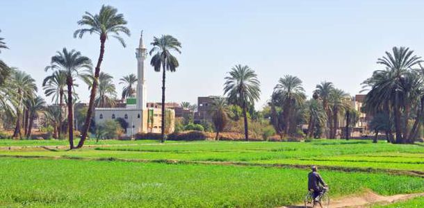 تحديات تطوير الريف في مصر وكيفية التغلب عليها - أهمية تطوير الريف في مصر