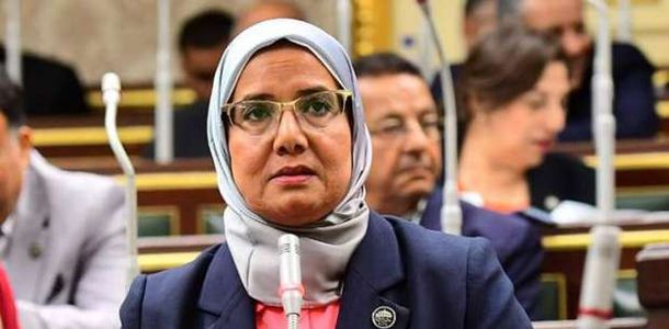 عضو مجلس النواب عن المنيا: مؤتمر المناخ يؤكد أن مصر دولة ذات تأثير عالمي -  المحافظات - الوطن