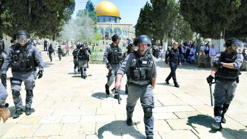 صورة مستوطنون يعتدون بالمولوتوف على الفلسطينيين جنوب نابلس – العرب والعالم