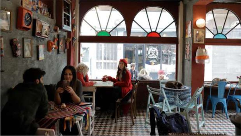 صورة «المقاهي» عن إقبال المشاهير على بيزنس الكافيهات: السر في المينيمم تشار – اقتصاد