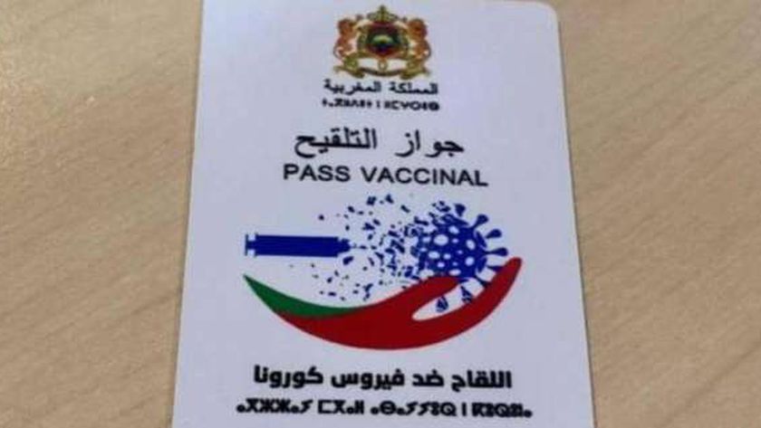 جواز التلقيح المغربي