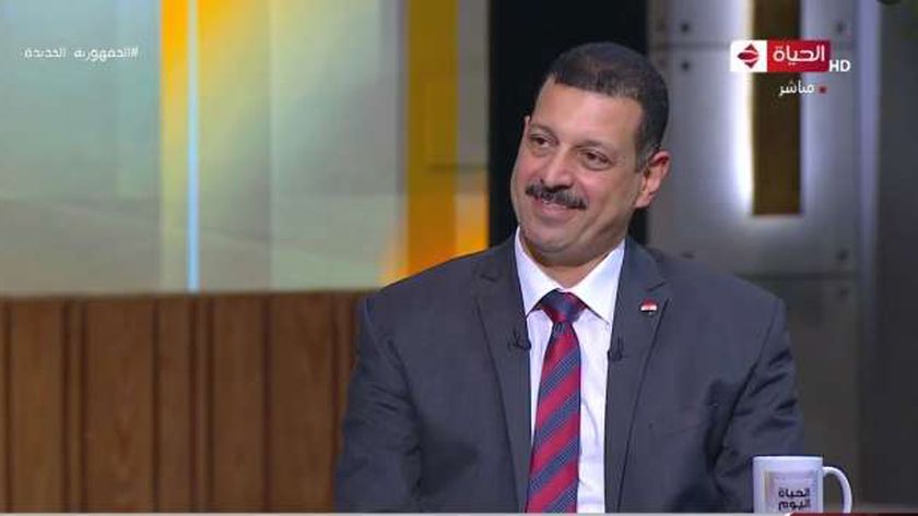 الدكتور أيمن حمزة، المتحدث باسم وزارة الكهرباء