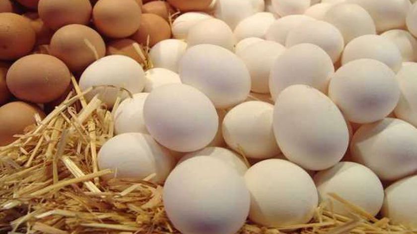 يلا خبر  | «شعبة المواد الغذائية»: تراجع سعر طبق البيض في الأسواق اليوم – اقتصاد