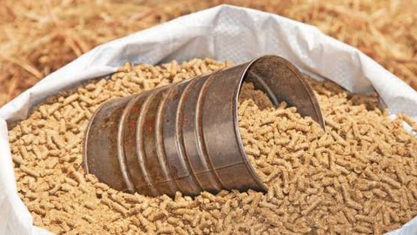 يلا خبر  | وزير الزراعة: الإفراج عن 199 ألف طن أعلاف الذرة والصويا بـ96 مليون دولار – أخبار مصر