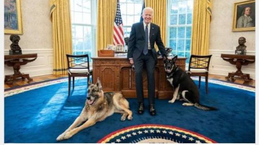 تشامب وميجور مع بايدن في مكتبه بعد القطيعة بين ترامب والحيوانات الأليفة
