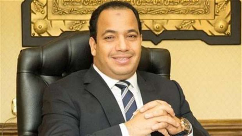 الدكتور عبدالمنعم السيد  مدير مركز القاهرة للدراسات الاقتصادية