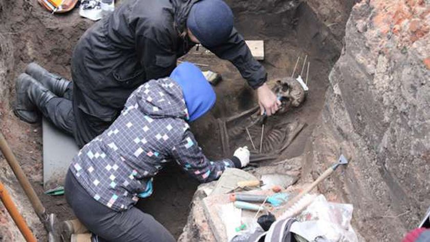 В омске нашли. Рабочее место археолога. Находка омских археологов. Омские археологические артефакты.