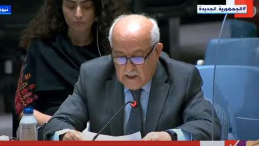مندوب فلسطين في جلسة مجلس الأمن الدولي