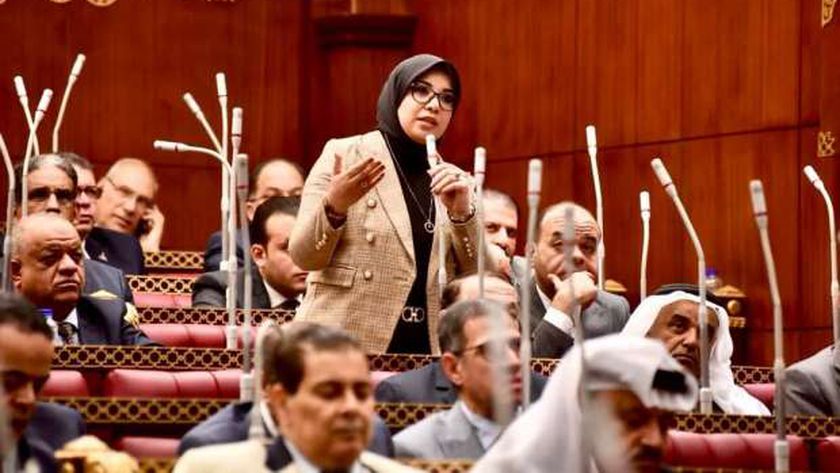 النائبة دينا هلالي: قمة البحرين فرصة لتوحيد الجبهة العربية في...