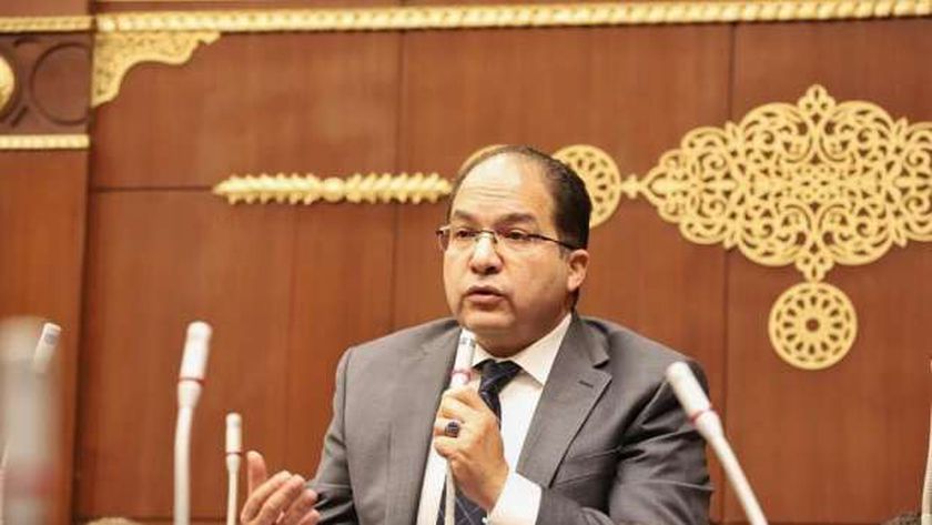 برلماني: موافقة حركة حماس على المقترح المصري انتصار لجهود القاهرة