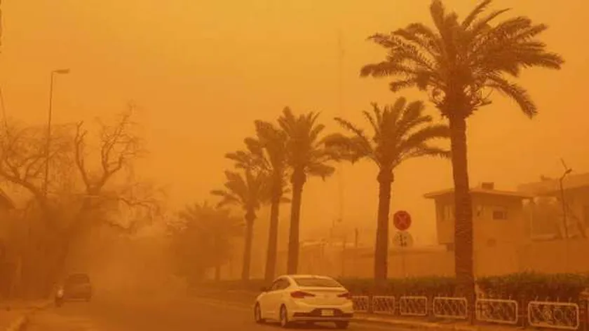 مناخ الزراعة» يُحذّر: عواصف ترابية محتملة بعد صلاة الجمعة اليوم - أخبار مصر  - الوطن