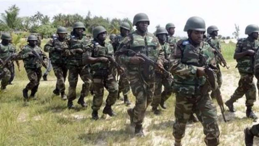 عناصر من الجيش النيجيري