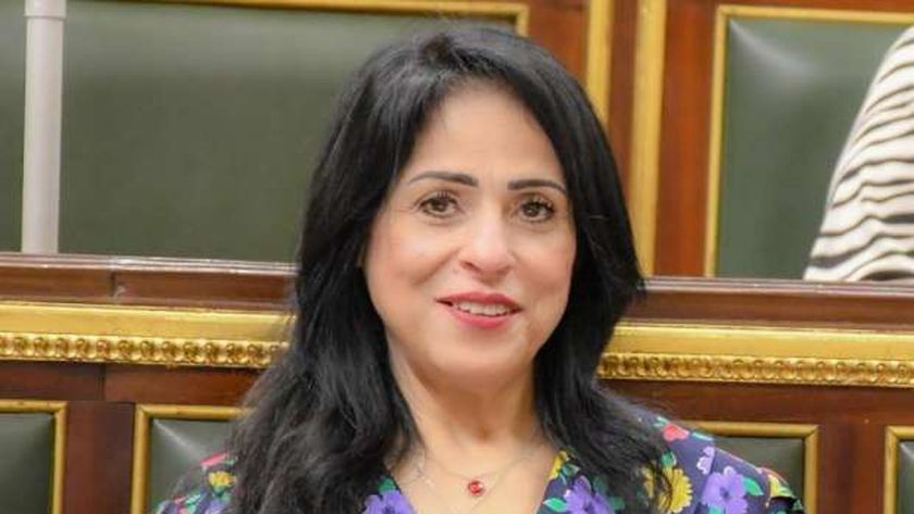 نائبة «حماة الوطن» تثمن إعلان مصر دعم دعوى جنوب إفريقيا ضد إسرائيل – أخبار مصر