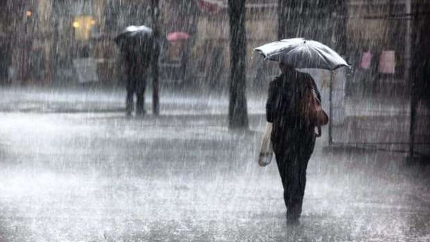 صورة محافظ الإسكندرية يعلن تعطيل الدراسة غدا في حال استمرار غزارة الأمطار – مصر
