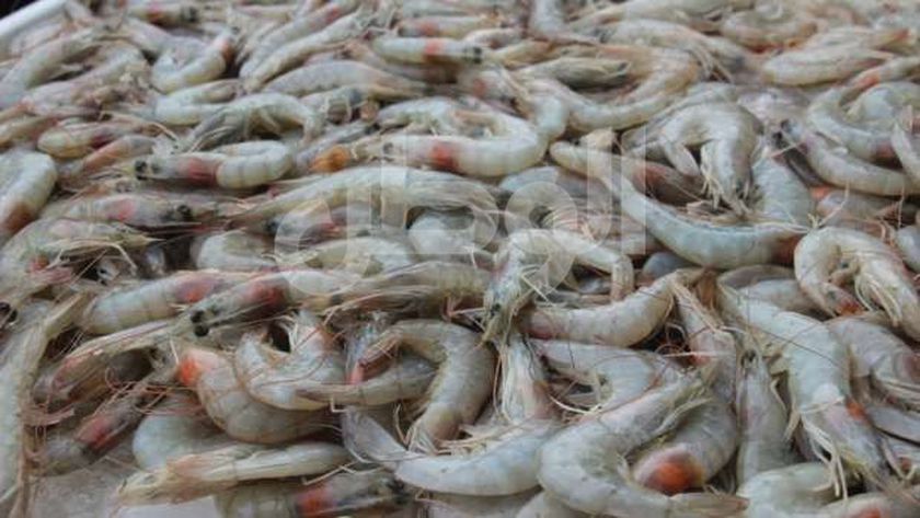 يلا خبر  | تخفيضات على 12 نوع سمك بمعارض أهلا رمضان.. الكيلو يبدأ من 38 جنيها – المحافظات