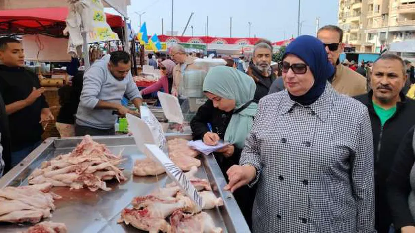 موعد إقامة سوق اليوم الواحد في الإسكندرية.. تخفيضات لمدة يومين – أي خدمة