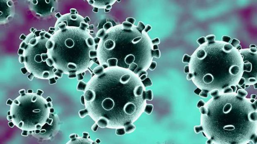 صورة «العليا للفيروسات»: طفرات كورونا قد تؤثر على دقة المسحة وصلاحية اللقاح – مصر