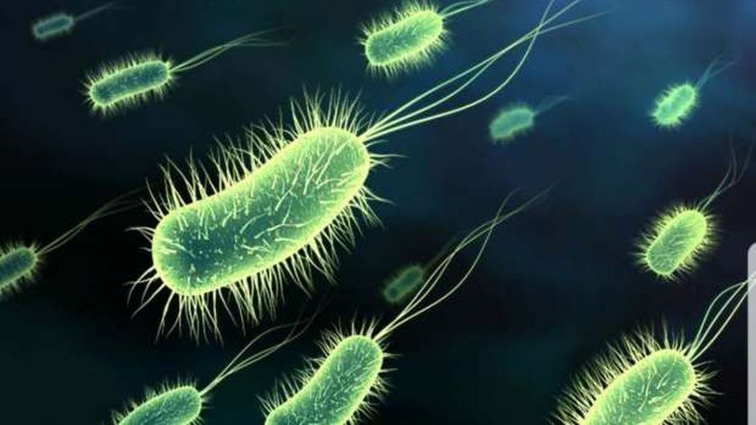 Микробио. Бактерии картинки. Царство дробянки и цианеи. Дробянки это в биологии. Обои на рабочий стол микробы.