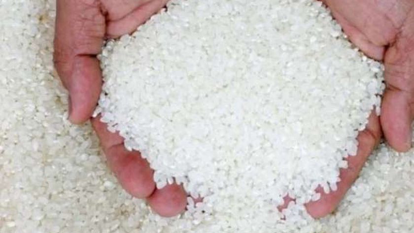تراجعت 26%.. أسعار الأرز الآن بالسلاسل التجارية بعد خفض الأسعار