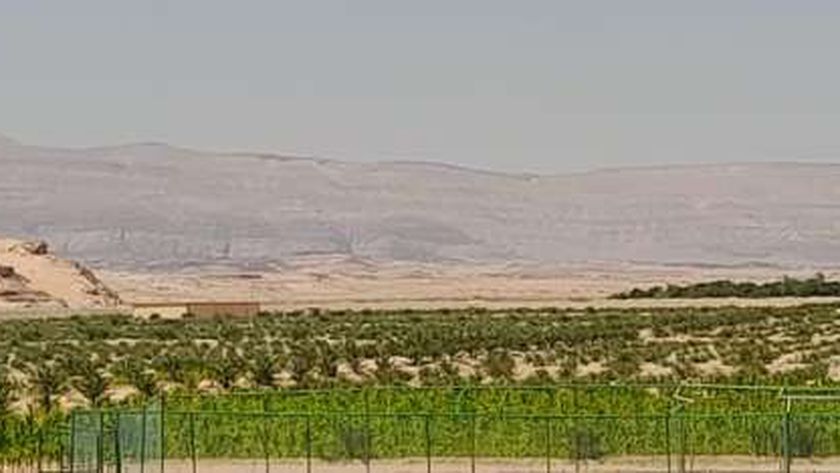 مزرعة وادي السيح بمدينة أبوزنيمة