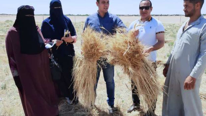 لجنة الزراعة مع مزارعي طور سيناء