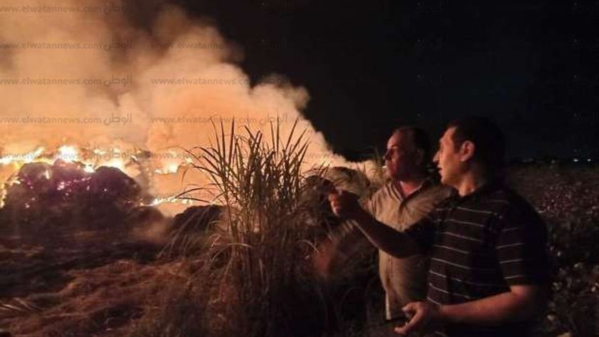صورة فوه تنفي نشوب حريق بسبب قش الأرز بقرية قبريط: «مزارع بيولع في حشائش» – المحافظات