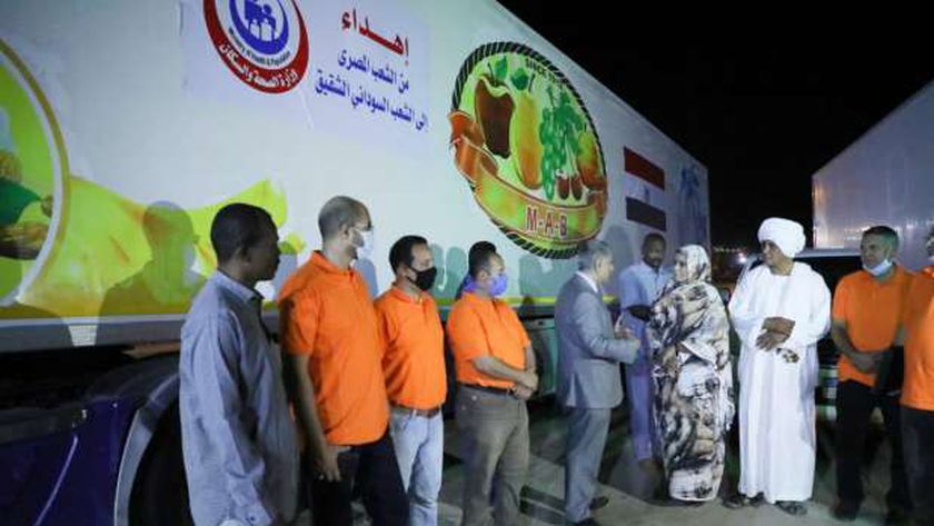 زايد: إرسال 34 طن مبيدات إلى السودان لدعم الصحة في مواجهة آثار الفيضان