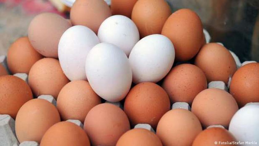 حل ثلاثي بين التموين والزراعة ومنتجي الدواجن لخفض أسعار البيض في الأسواق - أرشيفية-
