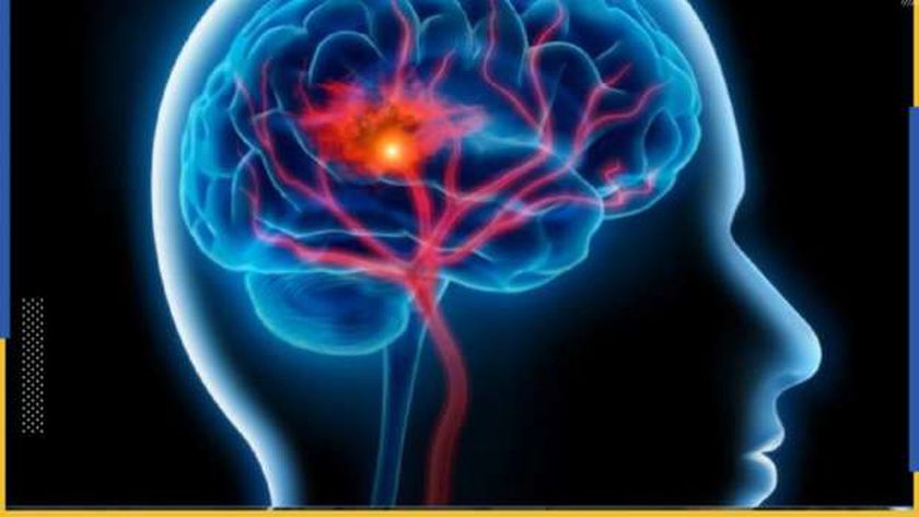 دراسة أمريكية تكشف عن استخدام «إنزيم» في المخ لمنع فقدان الذاكرة