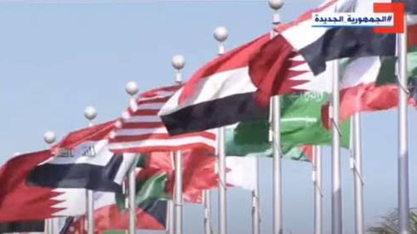 خبير دولي: مصر قادت دبلوماسية القمم العربية لبلورة موقف موحد