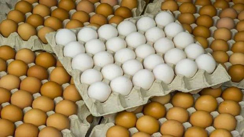 صورة دعوات لمقاطعة شراء البيض في بورسعيد بعد ارتفاع سعره – المحافظات