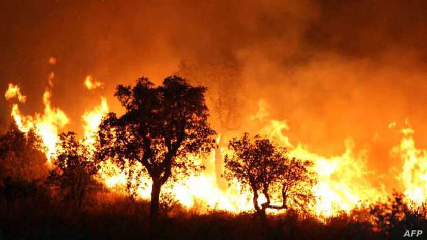 حرائق الغابات في الجزائر - أرشيفية